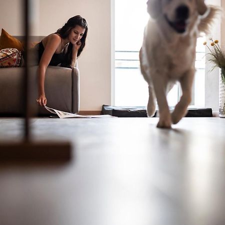 Sambucus Apartments -Premium Apartments For You And Your Dog ラナ エクステリア 写真