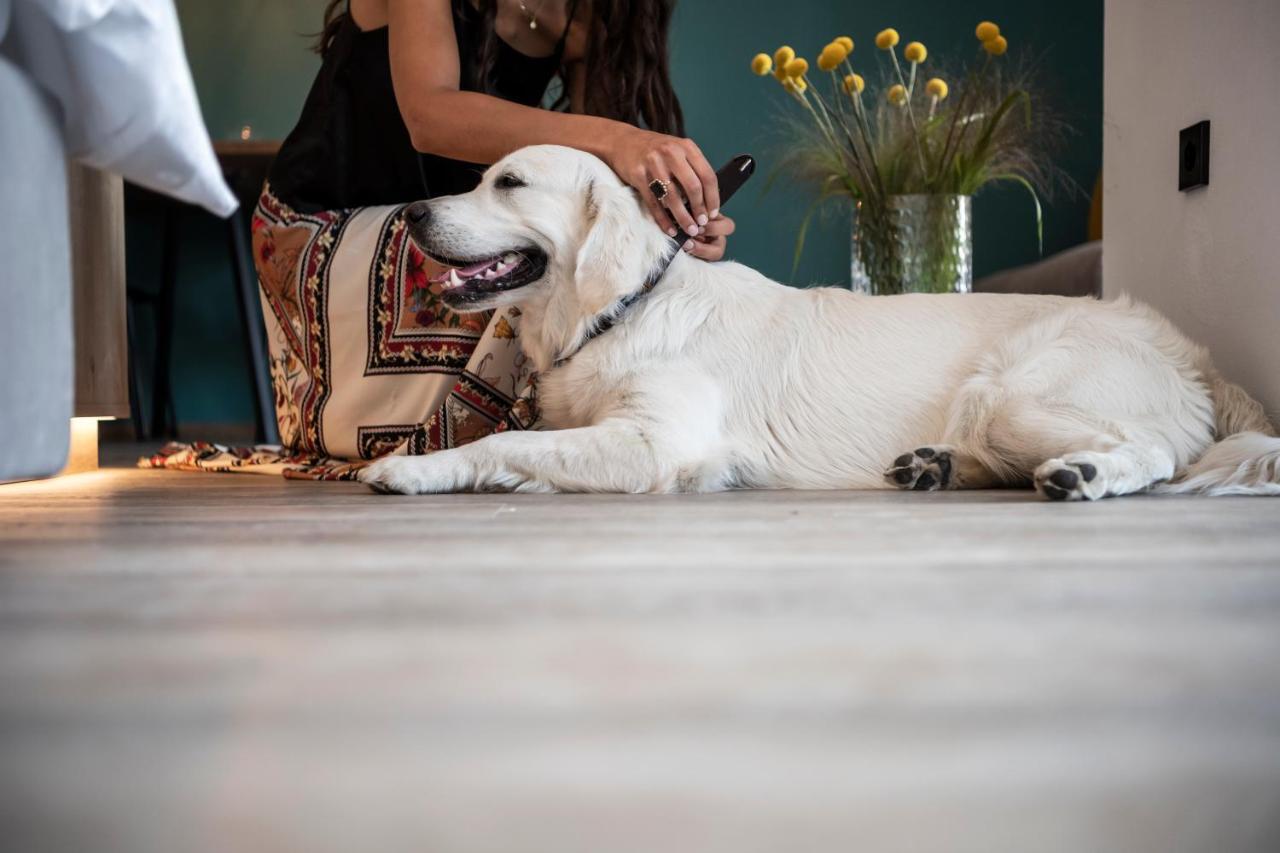 Sambucus Apartments -Premium Apartments For You And Your Dog ラナ エクステリア 写真