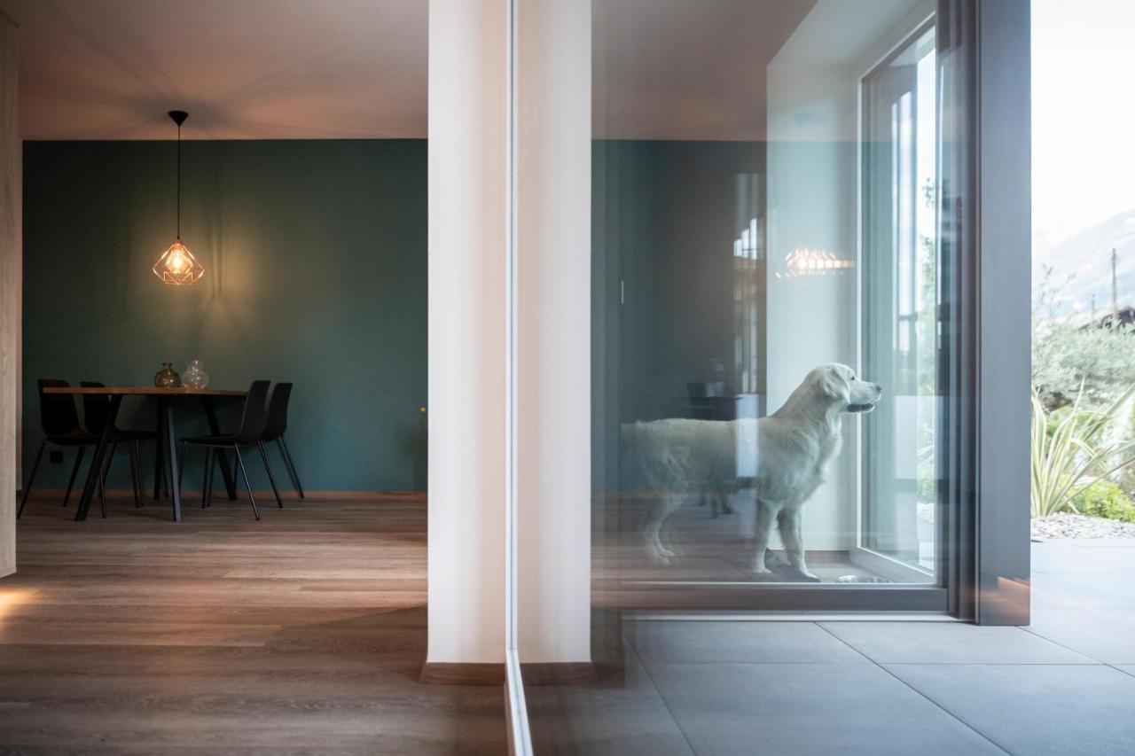 Sambucus Apartments -Premium Apartments For You And Your Dog ラナ エクステリア 写真
