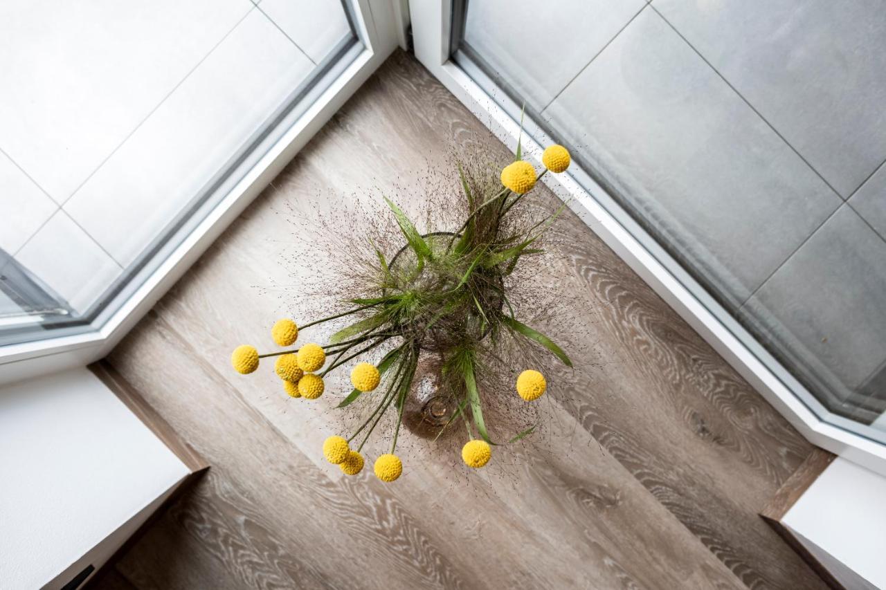 Sambucus Apartments -Premium Apartments For You And Your Dog ラナ エクステリア 写真