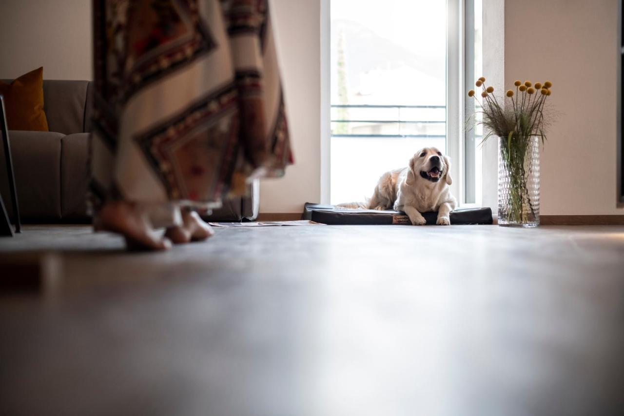 Sambucus Apartments -Premium Apartments For You And Your Dog ラナ エクステリア 写真