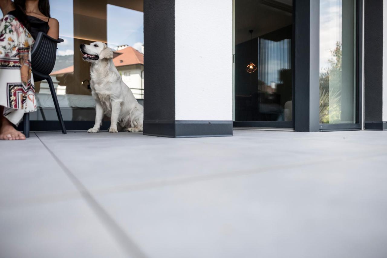 Sambucus Apartments -Premium Apartments For You And Your Dog ラナ エクステリア 写真