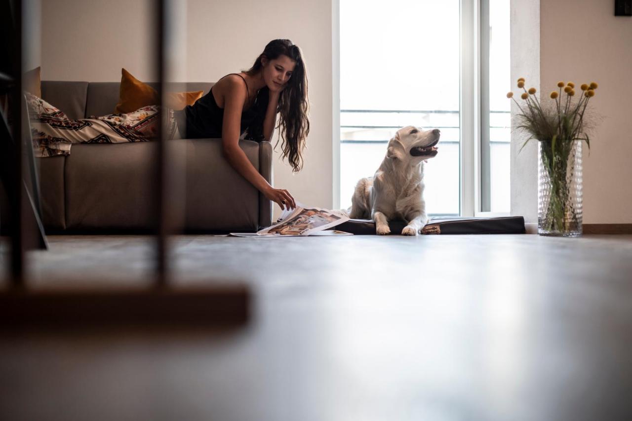Sambucus Apartments -Premium Apartments For You And Your Dog ラナ エクステリア 写真